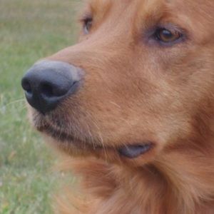 Meet your Posher, Michele